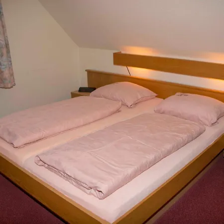 176 Schmidt_s Auss *